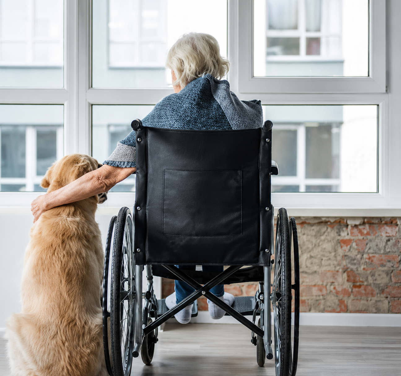Therapy dog comforting a woman in a wheelchair